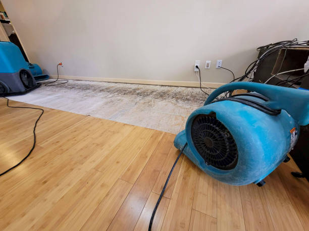 Professional Emergency Water Damage technician working in Newfoundland, NJ